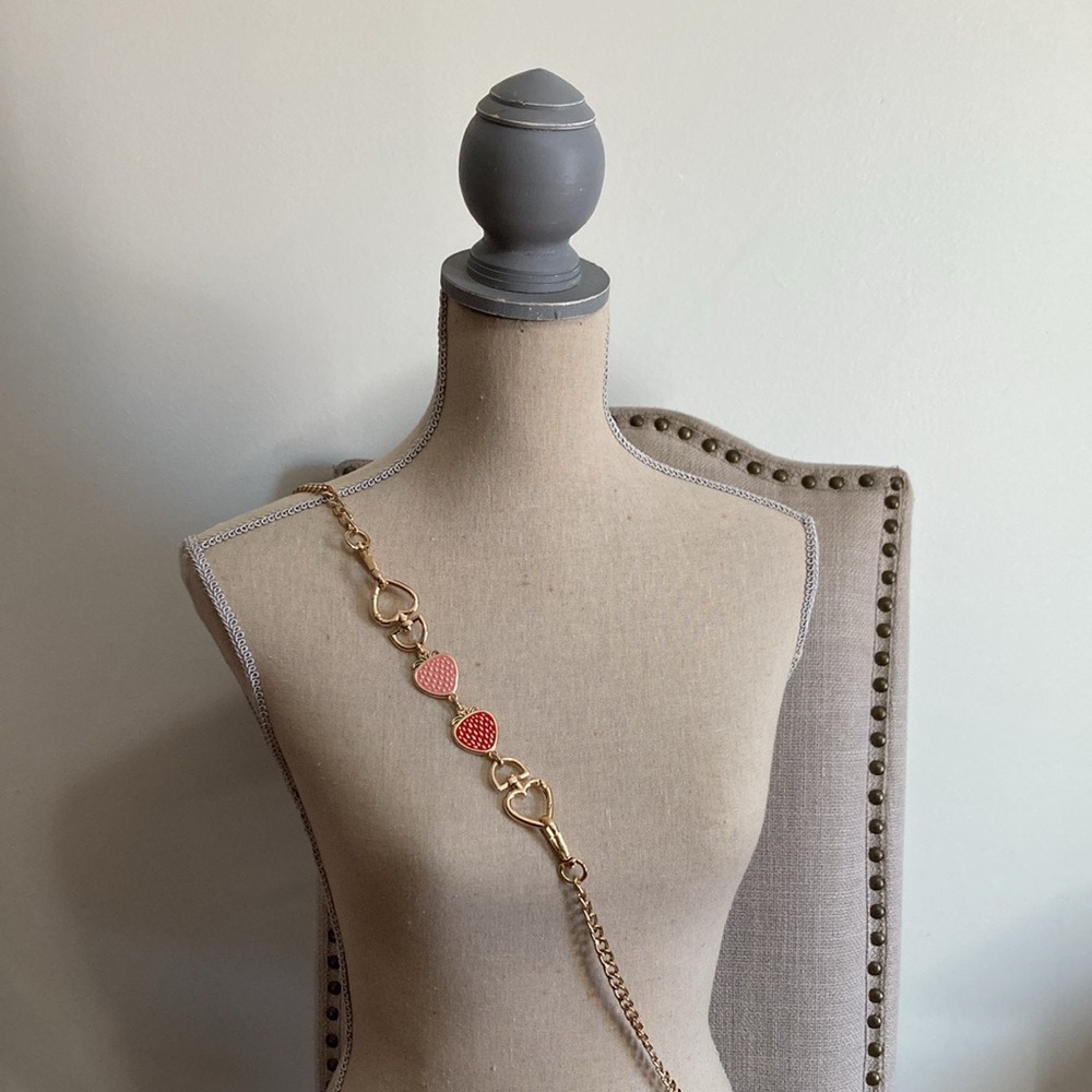 Fruity Handbag Extender